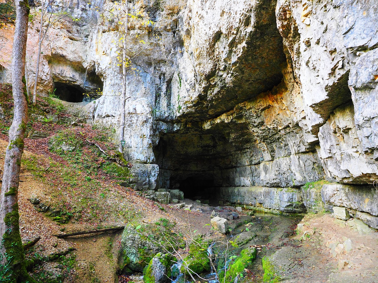 The Hidden Wonders of New Zealand’s West Coast